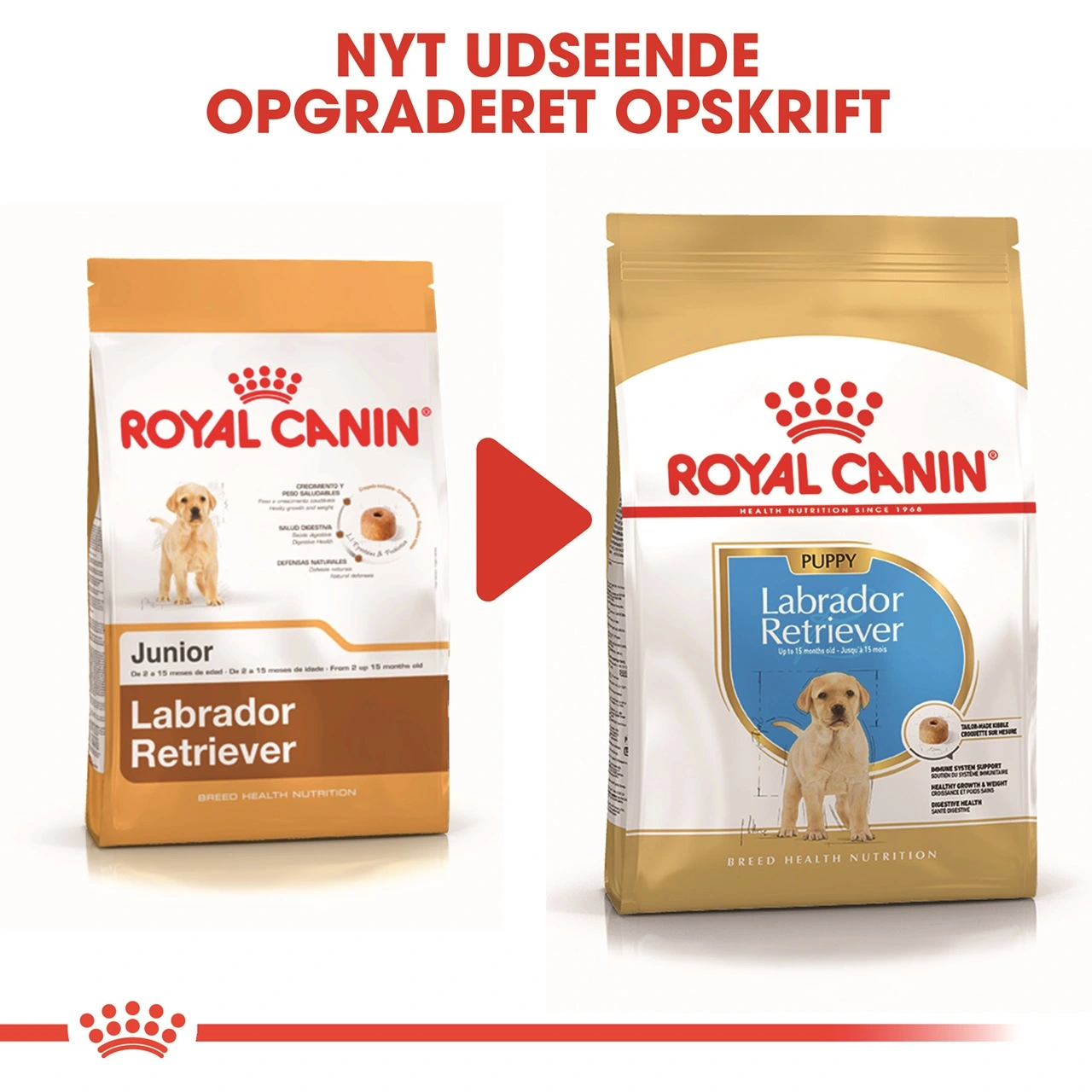 Royal Canin Labrador Retriever Puppy 12 kg - tørfoder til hvalpe